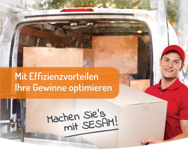 Die SESAM HomeBox - Die innovative Paketbox für alle